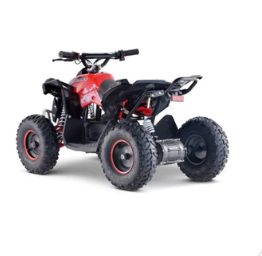 Renegade 1100w 48v Electric Kids Quad Bike