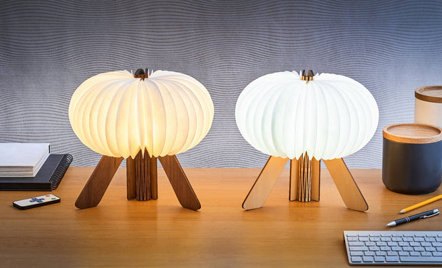 The R Space Lamp - Maple