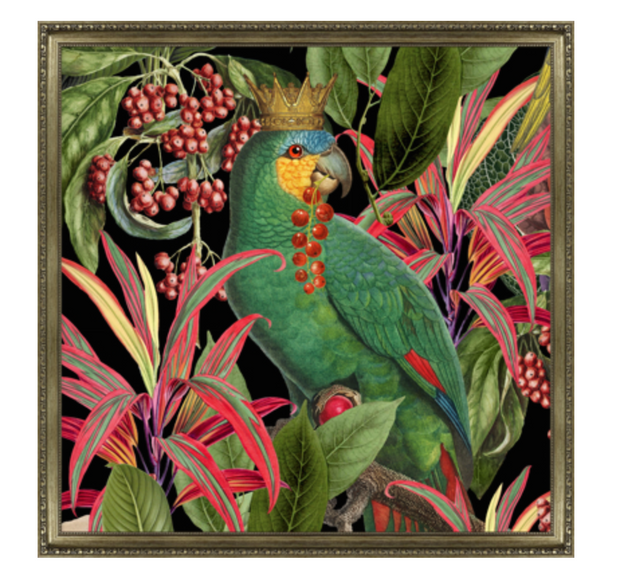 Parrot King 2